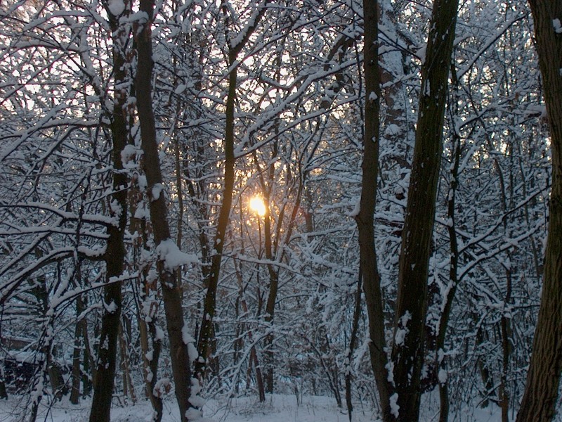 Nymphenburger Park 06