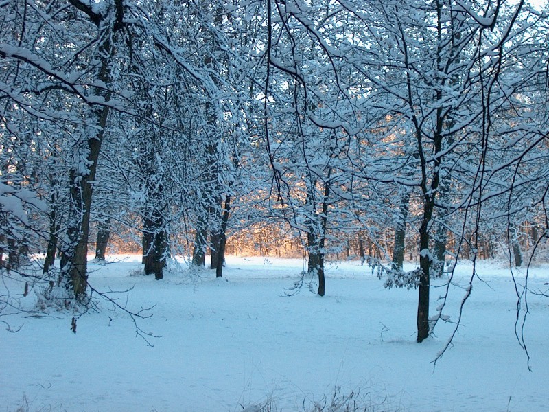 Nymphenburger Park 09