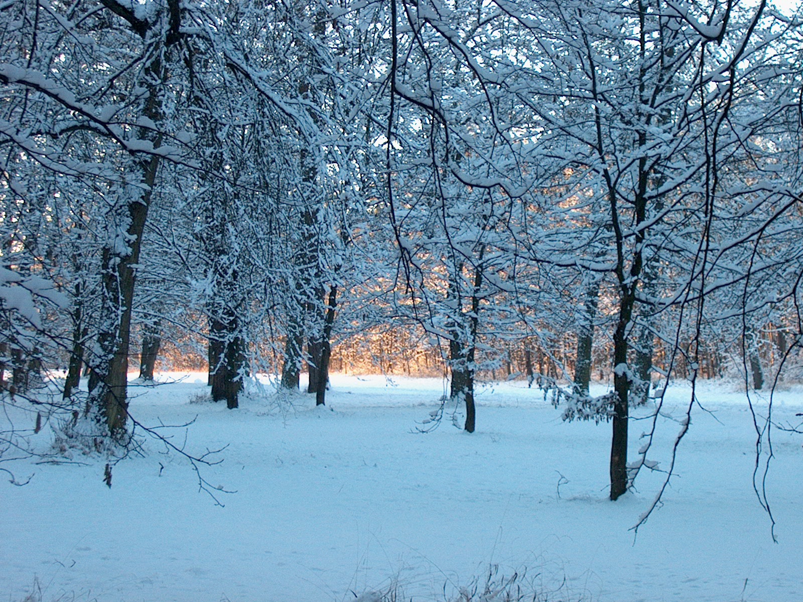 Nymphenburger Park 09