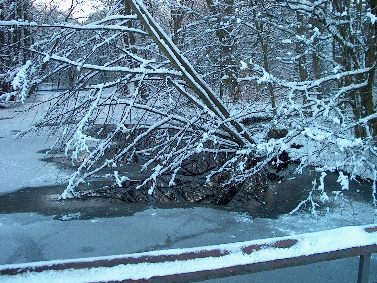 Nymphenburger Park 16