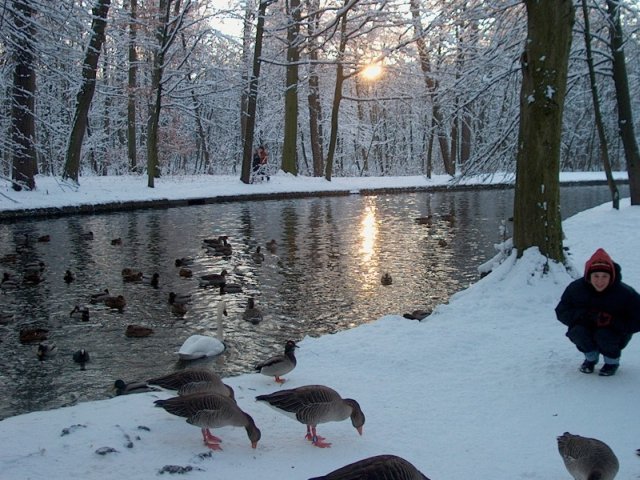 Nymphenburger Park 04