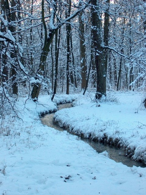 Nymphenburger Park 10