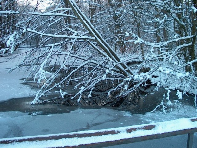 Nymphenburger Park 16