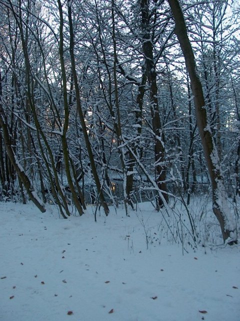 Nymphenburger Park 18