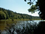 Deininger Weiher 07