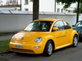 Beetle 01