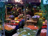 Amsterdam 2004 011