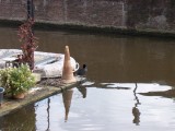 Amsterdam 2004 081
