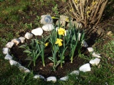 Frühling 2007 001