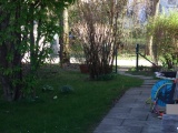 Frühling 2007 003