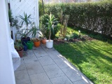 Frühling 2007 006