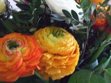 Frühling 2007 010