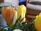 Frühling 2007 011