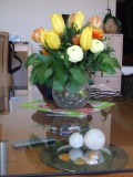 Frühling 2007 014