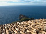 Mallorca 077