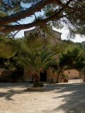 Mallorca 185