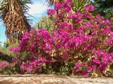Mallorca 188