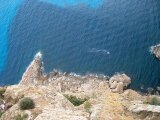 Mallorca 203