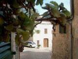 Mallorca 300