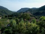 Mallorca 339