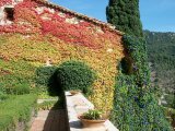 Mallorca 341