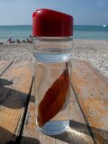 Mallorca 384