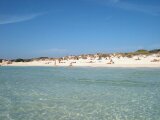 Mallorca 437