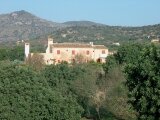 Mallorca 469