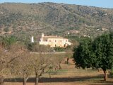 Mallorca 471