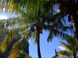 Mauritius 2010 - 0052 