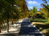 Mauritius 2010 - 0069 