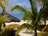 Mauritius 2010 - 0121 