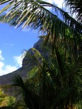 Mauritius 2010 - 0164 