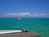 Mauritius 2010 - 0193 