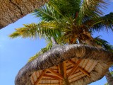 Mauritius 2010 - 0198 