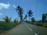 Mauritius 2010 - 0274 