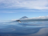 Ilha do Pico